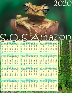 ThinkAhead™ Calendar January 2010 - December 2010 (Forest): SOS Amazon