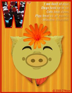 Fun Card: "I am fond of pigs. Dogs look up to us. Cats look down. Pigs treat us as equals." - Sir Winston Churchill 
