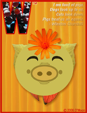 Fun Card: "I am fond of pigs. Dogs look up to us. Cats look down. Pigs treat us as equals." - Sir Winston Churchill Fun Card: "I am fond of pigs. Dogs look up to us. Cats look down. Pigs treat us as equals." - Sir Winston Churchill