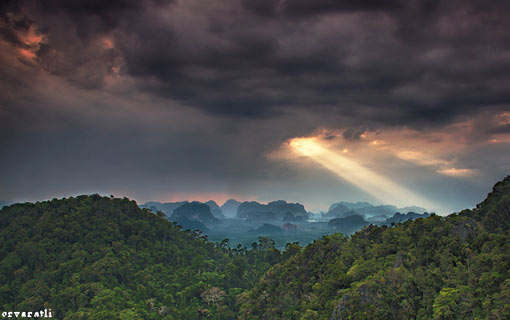 Amazonian landscape, with a shaft of light