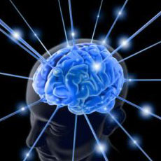 brain power can move paralyzed limbs