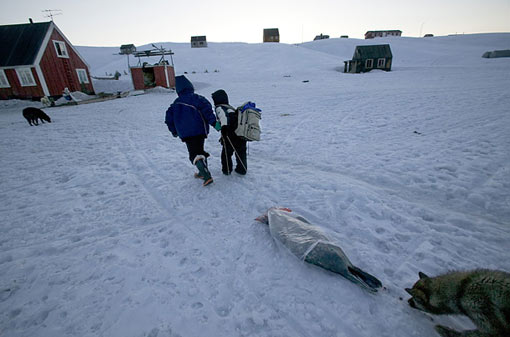Cap Hope, Greenland: The Big Haul; cousins Abraham and Julian Madsen drag a freshly killed seal toward their house. Seal meat, cooked with rice and onion, is a family favorite