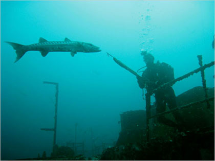 Clay Palmgren of Pensacola, Fla., keeping a wary eye on a giant barracuda prowling the Oriskany's tower