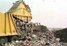 plastic bags take up to 1,000 years to decompose