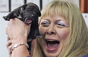 Bernann McKinney holds one of five cloned pitbull puppies