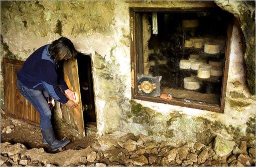 Raquel Viejo in her cheese cave, where she stores Cabrales, a blue cow's cheese named after the town in Asturias where it was first made