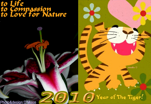 2010 Lunar Year of the Tiger: salute to Life, to Compassion, to Love for Nature