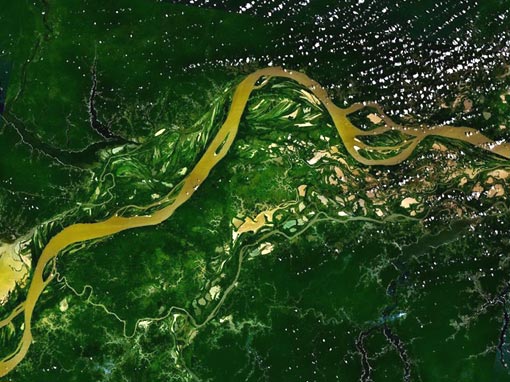 Amazon river flowing through the Amazon rainforest
