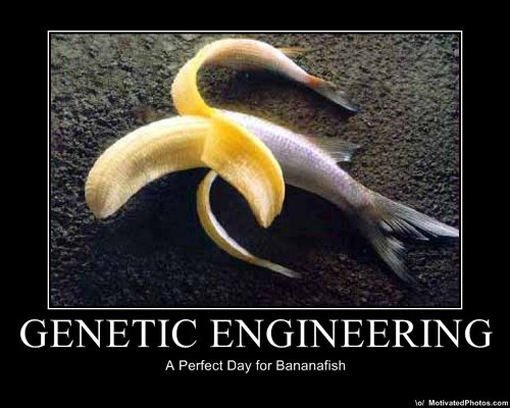 Genetic Engineering: A Perfect Day for Bananafish