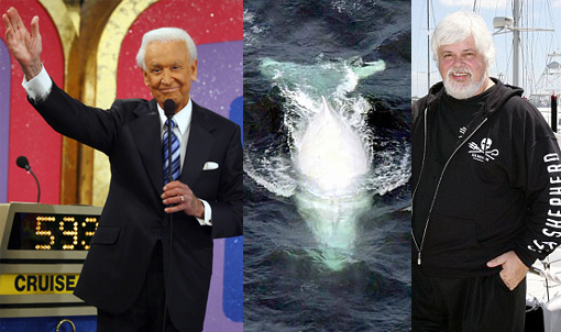 The Price Is Right: Bob Barker donates 5 million dollars to Sea Shepherd Conservation Society to help stop Japanese whale slaughter