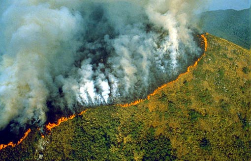 June 1989, Brazil: The forest burns