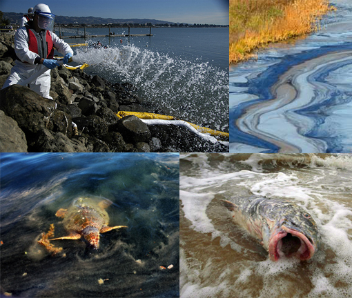 http://www.worldculturepictorial.com/images/content_2/chemical-corexit-gulf-oil-spill.jpg