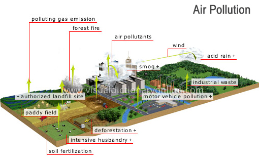 air pollution: the presence in the atmosphere of large quantities of particles or gases produced by human activity; these are harmful to both animal and plant life