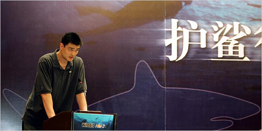 The Bono Of The East - Yao Ming, who once played for the Shanghai Sharks, has spoken out against the hunting of sharks for their fins, an expensive delicacy.