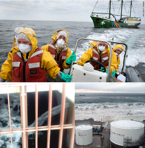 Greenpeace: Japan nuclear plant radiation accumulating in marine life