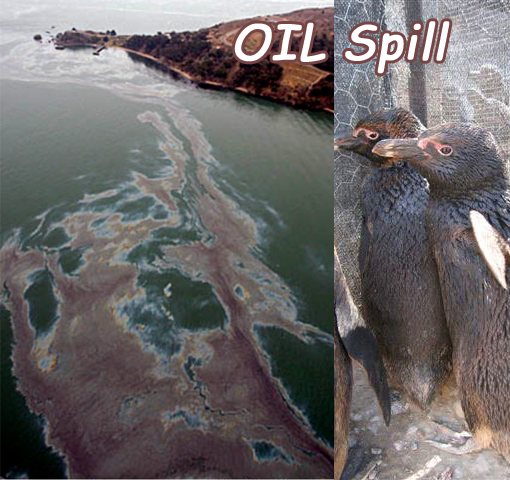 Francisco Bay oil spill.