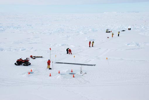 sea ice properties were examined in 200 m transects, both at the surface and from the air