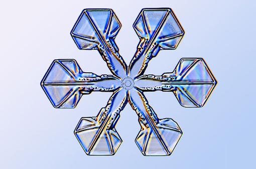 science of snowflakes: sectored plates