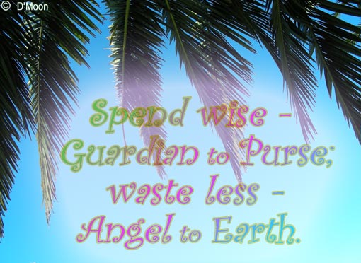 'Spend wise - Guardian to Purse; waste less - Angel to Earth.' - LuCxeed