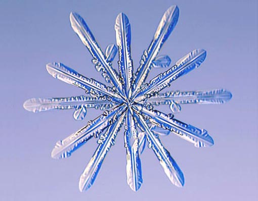 science of snowflakes: twelve-sided snowflakes