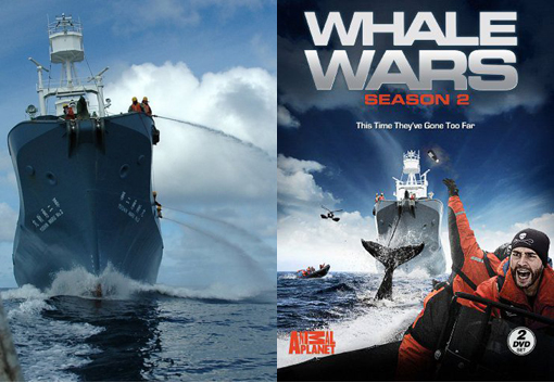 Left: Handout photo shows the Japanese whaling boat Yushin Maru in the Southern Ocean; Right: Discovery Channel's Whale Wars follows the Sea Shepherd Conservation Society as they seek to end whale hunting once and for all.