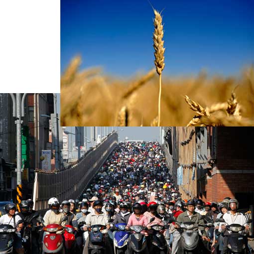Top: cereal grain stalk near Lethbridge, Alberta, Canada; bottom: rush hour in Taipei in 2009 - Taiwan's capital is notorious for its traffic jams, even though many motorists choose motorcycles and scooters over cars.