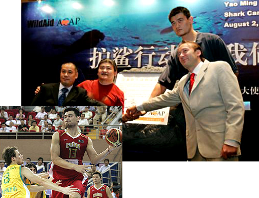 ‘When the buying stops, the killing can too.’ The NBA star Yao Ming urged China to say no to shark fin soup, the Cantonese delicacy that includes endangered sharks or their fins among its ingredients.