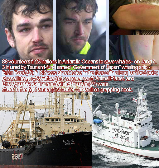 88 Sea Shepherd volunteers fr 23 nations in Antarctic Oceans to save whales; Jan17, 2012: 3 injured by Tsunami-fund armed ‘Government of Japan’ whaling ship