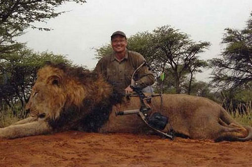 injury inflicted by hunter took 40 hours to kill the magnificent lion king