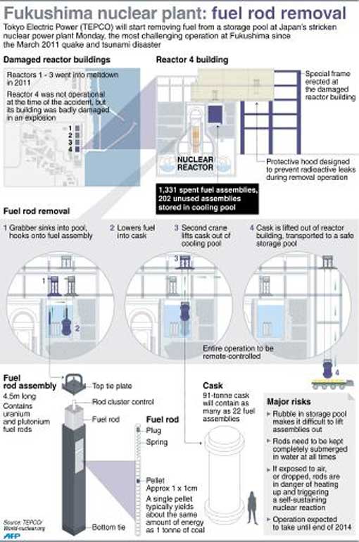 process of fuel rod removal at Japan's Fukushima nulcear power plant