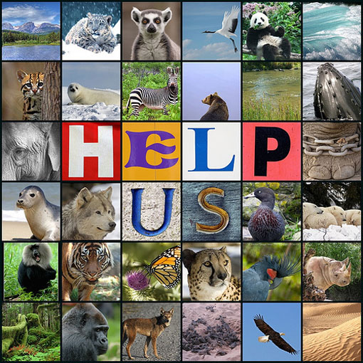 Endangered Species Day, May 2012