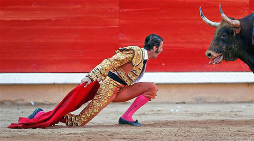 bullfighter stares down bull in Spain