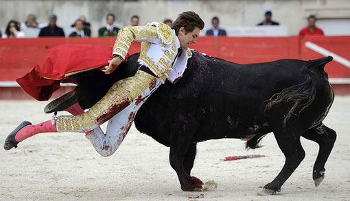 matador gored by bull