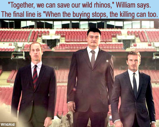 The Duke of Cambridge, David Beckham, and Yao Ming team up in new WildAid PSA