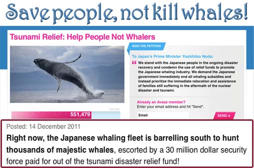 Tsunami Relief: Help People Not Whalers.. The Japanese whaling fleet is barrelling south to hunt thousands of majestic whales, escorted by a 30 million dollar security force paid for out of the tsunami disaster relief fund