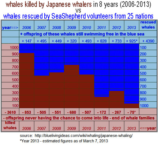 2006-2013: whales killed by Japanese whalers in 8 years vs. whales rescued by Sea Shepherd volunteers from 25 nations