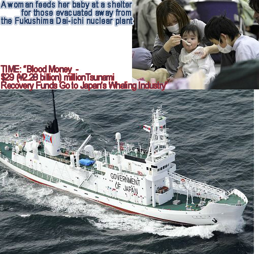 Top: woman feeds her baby at a shelter for those evacuated away from the Fukushima Dai-ichi nuclear plant. Bottom: Japanese vessel, on its sides reads in giant letters 'Government of Japan'