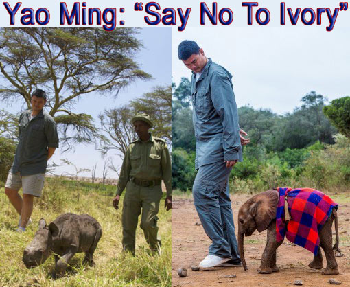 Yao Ming: ‘Say No to Ivory’