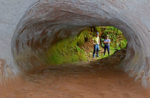 13,000 year-old underground tunnels discovered in Brazil - "non-man-made, not naturally formed"