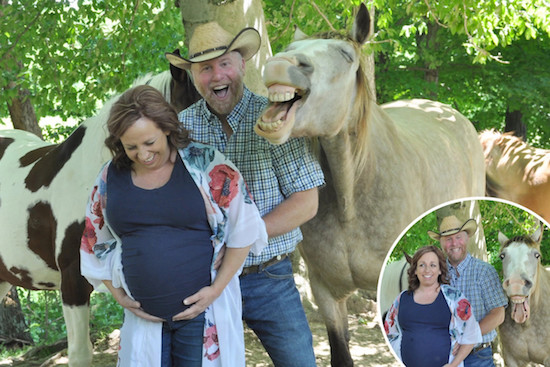 Photos: laughter from heaven and "neighbours from hell". Toothy grinning stallion trotted into maternity snaps. 25 years' harmony shocked by tree sawn in half
